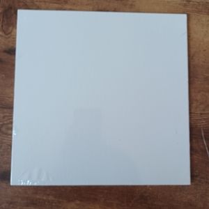 Arteza 10×10 canvas panel Sealed NWT